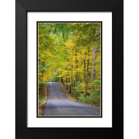 Curvy Road in Clifty Creek Park-Southern Indiana Black Modern Wood Framed Art Print with Double Matting by Miller, Anna