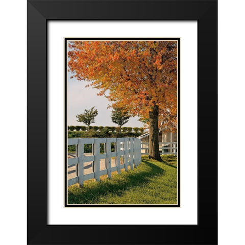 White fences-Keeneland race track-Lexington-Kentucky Black Modern Wood Framed Art Print with Double Matting by Jones, Adam