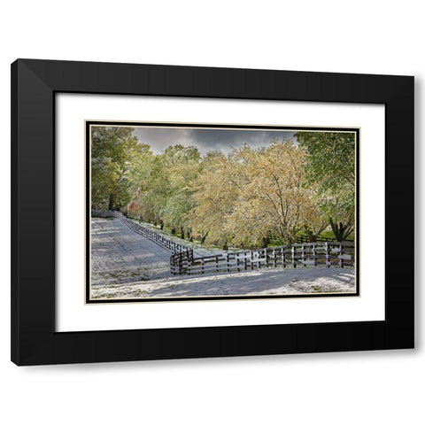 Light snow on trees in early spring-Louisville-Kentucky Black Modern Wood Framed Art Print with Double Matting by Jones, Adam
