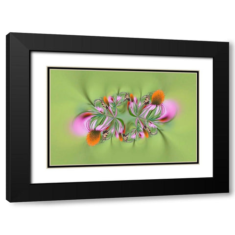 Tiger Swallowtail butterfly on purple coneflower-Kentucky Black Modern Wood Framed Art Print with Double Matting by Jones, Adam