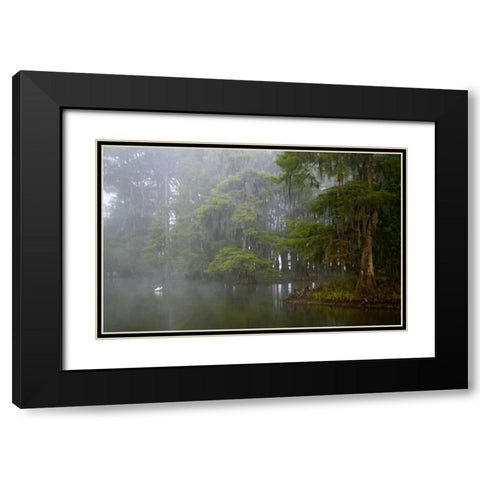 Louisiana, Lake Martin Great egret reflection Black Modern Wood Framed Art Print with Double Matting by Morris, Arthur