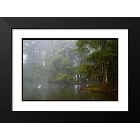Louisiana, Lake Martin Great egret reflection Black Modern Wood Framed Art Print with Double Matting by Morris, Arthur