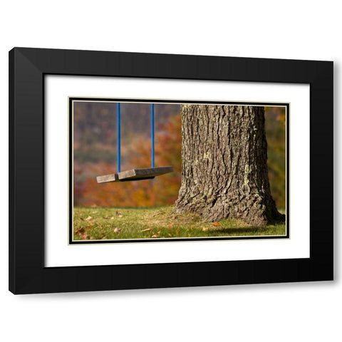 Maine, Bethel A wooden swing hangs from a tree Black Modern Wood Framed Art Print with Double Matting by Kaveney, Wendy