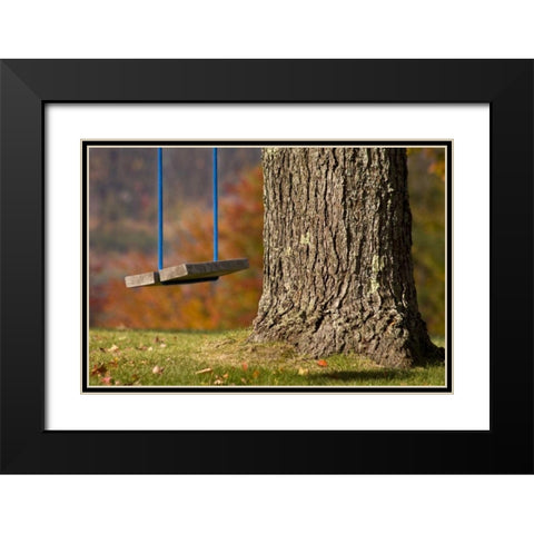 Maine, Bethel A wooden swing hangs from a tree Black Modern Wood Framed Art Print with Double Matting by Kaveney, Wendy
