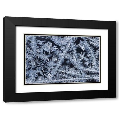 ME, HarpswellIce patterns on a winter window Black Modern Wood Framed Art Print with Double Matting by Clemons, Kathleen