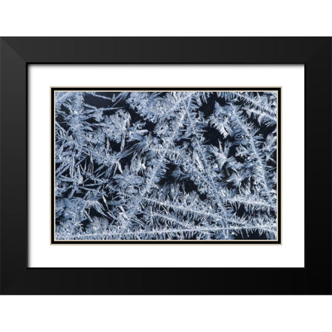 ME, HarpswellIce patterns on a winter window Black Modern Wood Framed Art Print with Double Matting by Clemons, Kathleen