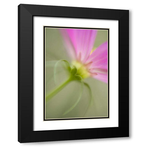 USA, Maine, Harpswell Black Modern Wood Framed Art Print with Double Matting by Clemons, Kathleen