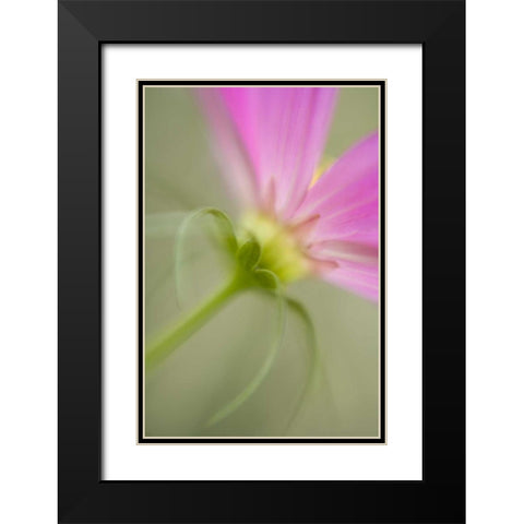 USA, Maine, Harpswell Black Modern Wood Framed Art Print with Double Matting by Clemons, Kathleen