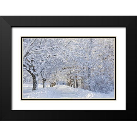 Maine, Harpswell Heavy snowfall on Bear Paw Road Black Modern Wood Framed Art Print with Double Matting by Clemons, Kathleen