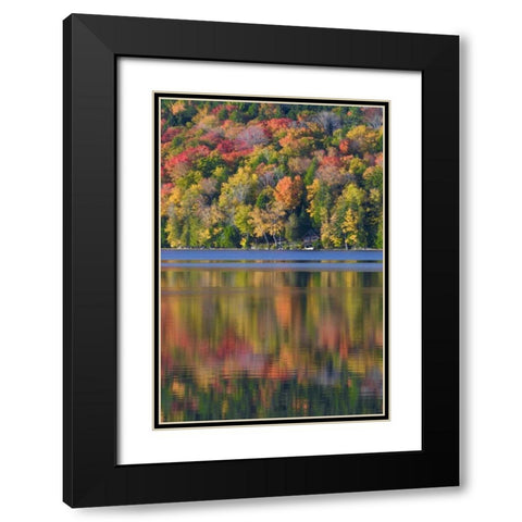 ME, Acadia NP Fall foliage and lake Black Modern Wood Framed Art Print with Double Matting by Rotenberg, Nancy