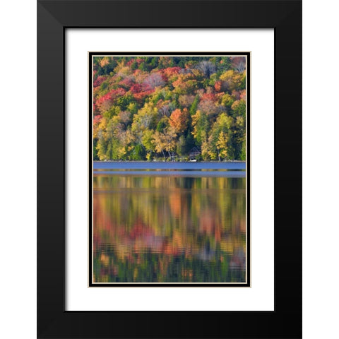 ME, Acadia NP Fall foliage and lake Black Modern Wood Framed Art Print with Double Matting by Rotenberg, Nancy