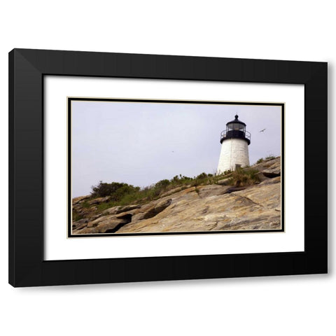ME, Pemaquid Lighthouse overlooks coastline Black Modern Wood Framed Art Print with Double Matting by Clemons, Kathleen