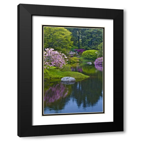 Maine, Northeast Harbor Azalea Garden Black Modern Wood Framed Art Print with Double Matting by Rotenberg, Nancy