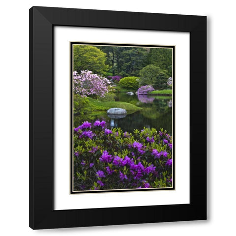 Maine, Northeast Harbor Beautiful Azalea Garden Black Modern Wood Framed Art Print with Double Matting by Rotenberg, Nancy