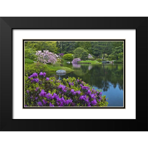 Maine, Northeast Harbor Garden pond scenic Black Modern Wood Framed Art Print with Double Matting by Rotenberg, Nancy