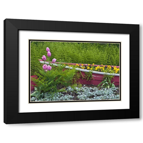 ME, Southwest Harbor Wooden boat used as planter Black Modern Wood Framed Art Print with Double Matting by Rotenberg, Nancy