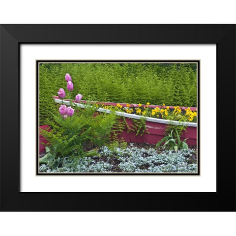 ME, Southwest Harbor Wooden boat used as planter Black Modern Wood Framed Art Print with Double Matting by Rotenberg, Nancy