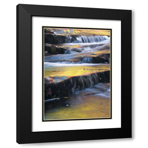 Maine, Acadia NP Autumn reflections in stream Black Modern Wood Framed Art Print with Double Matting by Rotenberg, Nancy