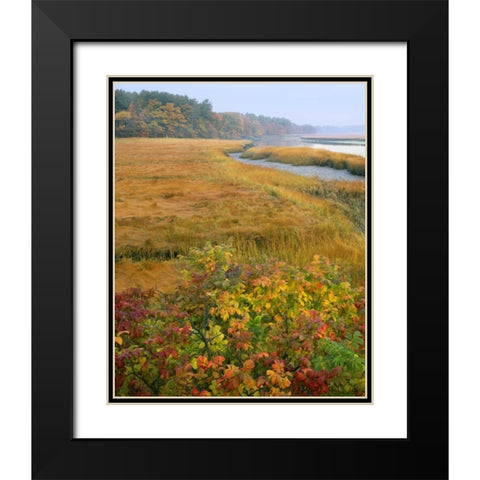 ME, Kennebunkport Tidal marsh on the Mousam Black Modern Wood Framed Art Print with Double Matting by Terrill, Steve