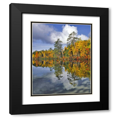 USA, Maine Autumn scenic of Upper Togue Pond Black Modern Wood Framed Art Print with Double Matting by Terrill, Steve