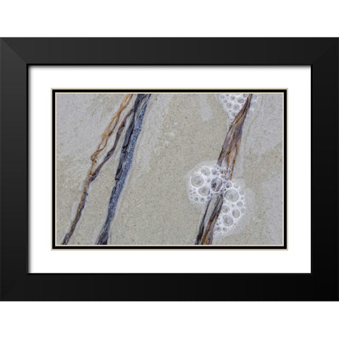USA, Maine, Pine Point Sea weed between waves Black Modern Wood Framed Art Print with Double Matting by Delisle, Gilles