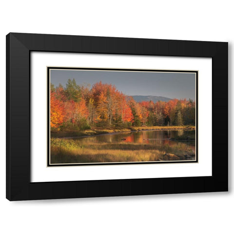 USA-Maine-Acadia National Park Black Modern Wood Framed Art Print with Double Matting by Jaynes Gallery
