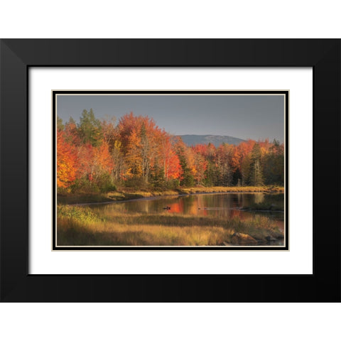 USA-Maine-Acadia National Park Black Modern Wood Framed Art Print with Double Matting by Jaynes Gallery