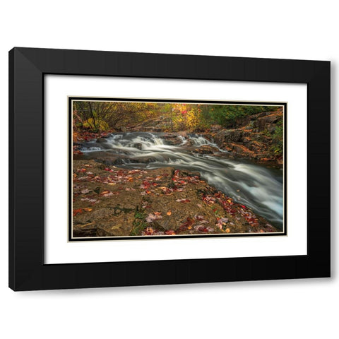 USA-Maine-Acadia National Park Stream rapids in forest Black Modern Wood Framed Art Print with Double Matting by Jaynes Gallery