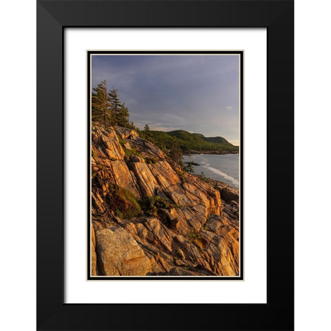 Otter Cliffs at sunrise in Acadia National Park-Maine-USA Black Modern Wood Framed Art Print with Double Matting by Haney, Chuck