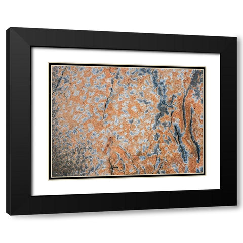 Maine Patterns on rock on the beach near Thunder Hole in Acadia National Park Black Modern Wood Framed Art Print with Double Matting by Eggers, Julie