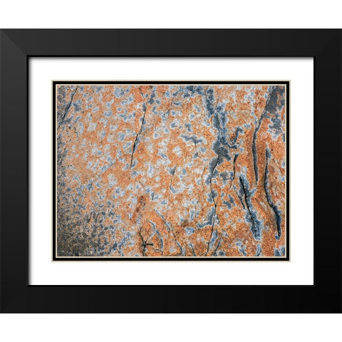 Maine Patterns on rock on the beach near Thunder Hole in Acadia National Park Black Modern Wood Framed Art Print with Double Matting by Eggers, Julie