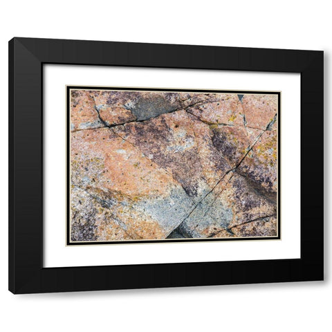 Maine Patterns on rock on the beach near Thunder Hole in Acadia National Park Black Modern Wood Framed Art Print with Double Matting by Eggers, Julie