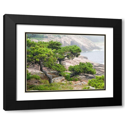 Maine Otter Cliffs and the Atlantic Ocean in Acadia National Park Black Modern Wood Framed Art Print with Double Matting by Eggers, Julie