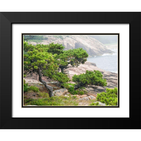 Maine Otter Cliffs and the Atlantic Ocean in Acadia National Park Black Modern Wood Framed Art Print with Double Matting by Eggers, Julie