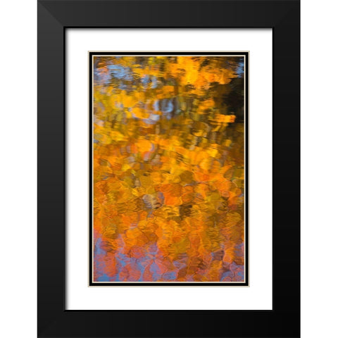 Maine Abstract reflections in a pond in Acadia National Park Black Modern Wood Framed Art Print with Double Matting by Wells, Joanne