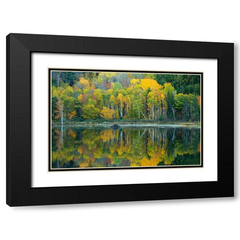 Maine Reflections at Beaver Dam Pond in Acadia National Park Black Modern Wood Framed Art Print with Double Matting by Wells, Joanne