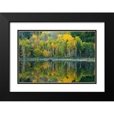 Maine Reflections at Beaver Dam Pond in Acadia National Park Black Modern Wood Framed Art Print with Double Matting by Wells, Joanne