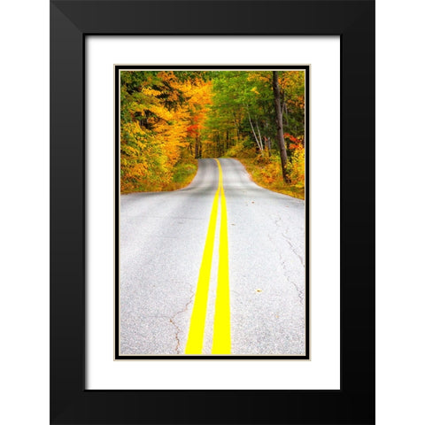 USA-Maine-Highway 113 lined by Maple and Birch trees in full Autumn color Black Modern Wood Framed Art Print with Double Matting by Gulin, Sylvia
