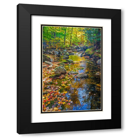 USA-New England-Maine Autumn and stream just off of Wild River Road Black Modern Wood Framed Art Print with Double Matting by Gulin, Sylvia