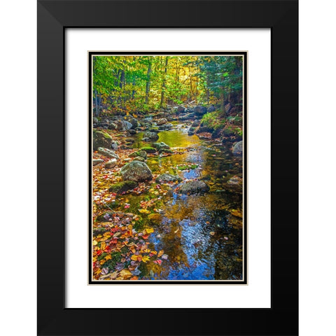 USA-New England-Maine Autumn and stream just off of Wild River Road Black Modern Wood Framed Art Print with Double Matting by Gulin, Sylvia