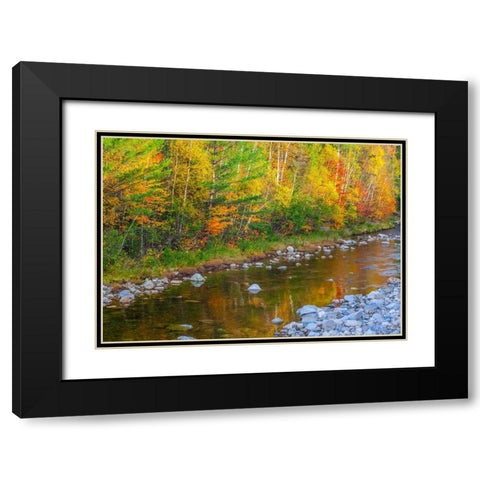 USA-New England-Maine-Wild River-reflections of Autumn colors in small river Black Modern Wood Framed Art Print with Double Matting by Gulin, Sylvia