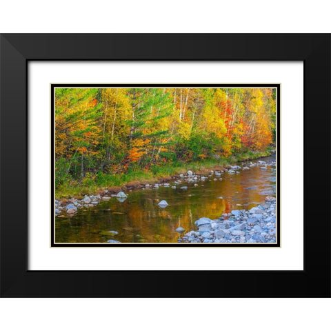 USA-New England-Maine-Wild River-reflections of Autumn colors in small river Black Modern Wood Framed Art Print with Double Matting by Gulin, Sylvia