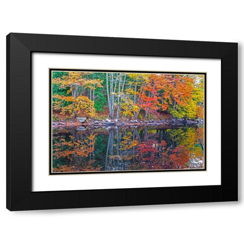 USA-New England-Maine-Lake with Fall colors reflected in calm water Black Modern Wood Framed Art Print with Double Matting by Gulin, Sylvia