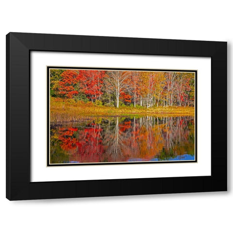 USA-New England-Maine-Lake with Fall colors reflected in calm water Black Modern Wood Framed Art Print with Double Matting by Gulin, Sylvia