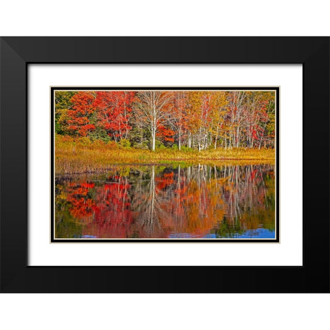 USA-New England-Maine-Lake with Fall colors reflected in calm water Black Modern Wood Framed Art Print with Double Matting by Gulin, Sylvia
