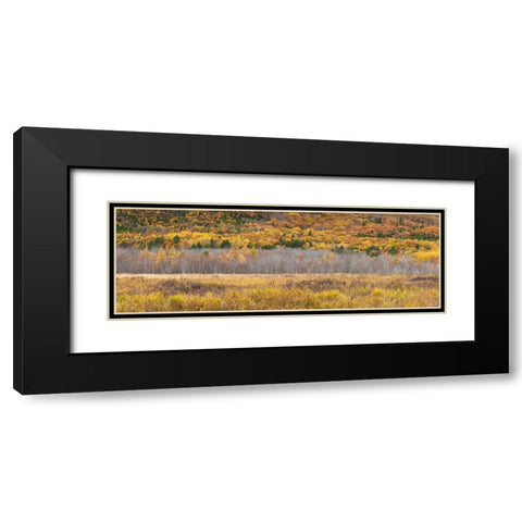 Maine-Mt Desert Island-Acadia National Park-autumn foliage Black Modern Wood Framed Art Print with Double Matting by Bibikow, Walter