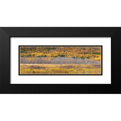 Maine-Mt Desert Island-Acadia National Park-autumn foliage Black Modern Wood Framed Art Print with Double Matting by Bibikow, Walter