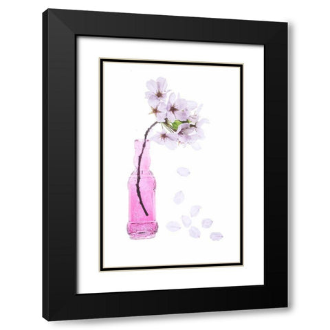 Maryland-Bethesda Pink vase with cherry blossoms Black Modern Wood Framed Art Print with Double Matting by Looney, Hollice