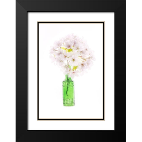 Maryland-Bethesda Green vase with cherry blossoms Black Modern Wood Framed Art Print with Double Matting by Looney, Hollice