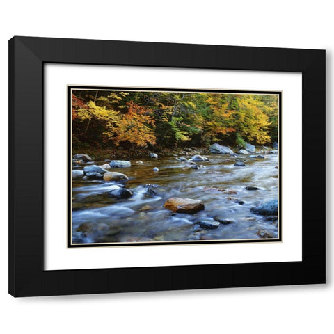 MA, Savoy Forest Autumn beside the Cold River Black Modern Wood Framed Art Print with Double Matting by Flaherty, Dennis